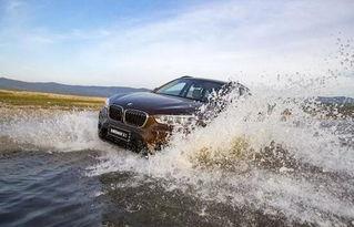 苏州宝马爆料最新消息新闻,神秘事件引发热议，真相即将揭晓