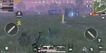 和平精英最新新版本爆料,全新内容爆料，战火升级再燃激情